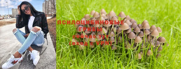 PSILOCYBIN Балабаново